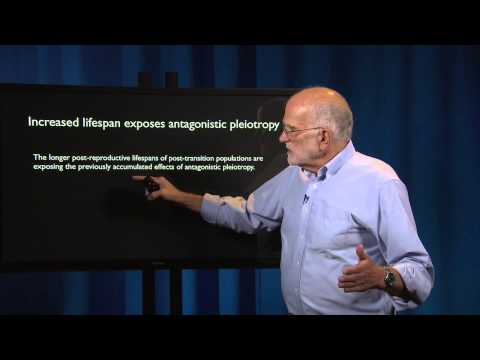 The Great Transition and its Impacts on Health, Disease, and Selection
