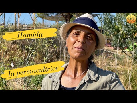 Hamida, la permacultrice