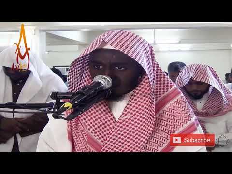 Quran Recitation Really Beautiful Amazing | Soft Quran Recitation by Sheikh Talal Al Hassan ||  AWAZ Video