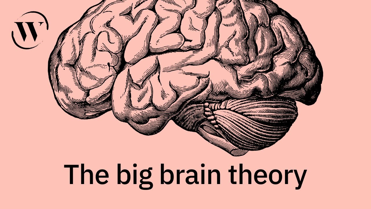 An evolutionary history of the human brain, in 7 minutes | Lisa Feldman Barrett