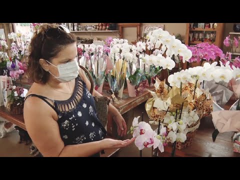 Setor de flores espera queda nas vendas para o Dia das Mães