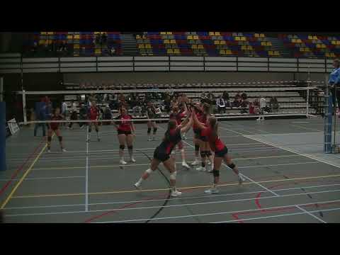 vcv - taurus d1 04-11-2023 3