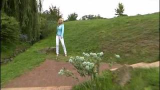 Rosanna Rocci - So wie du 2009