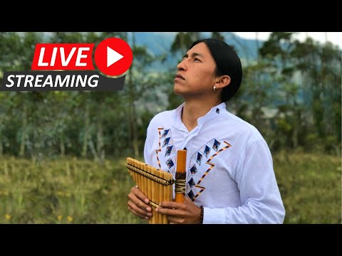Jorge Sangre Ancestral LIVE | Inkapa Puriñan | Relaxing music | Flute | Native
