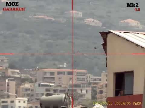 Fx mk2 cal 4.5 VS 186 meter