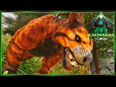 Best Place to Tame Thylacoleos! Ark Ragnarok Nomad 17