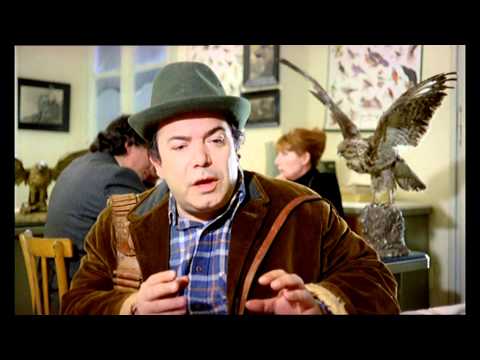 Vieni Avanti Cretino (Trailer)