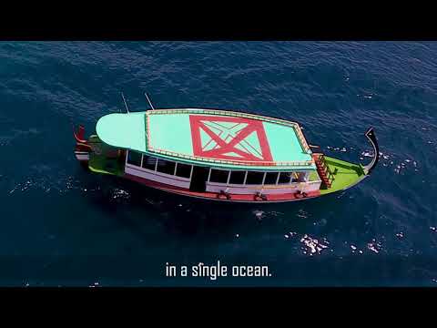 University of Milano-Bicocca and Maldives government: together to save the corals