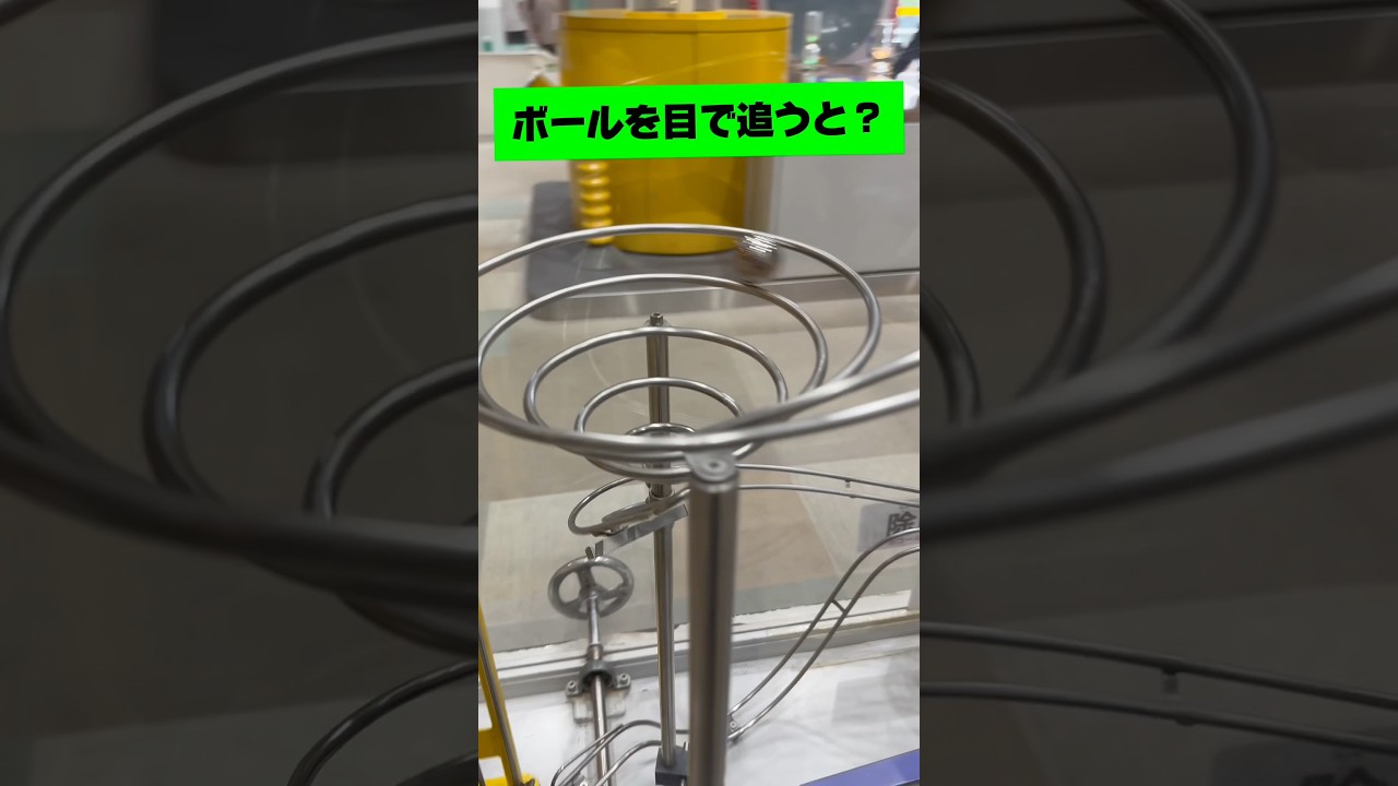 ボールを目で追うと？ #双子 #twins #さとたけついんず #SATOTAKE #shorts