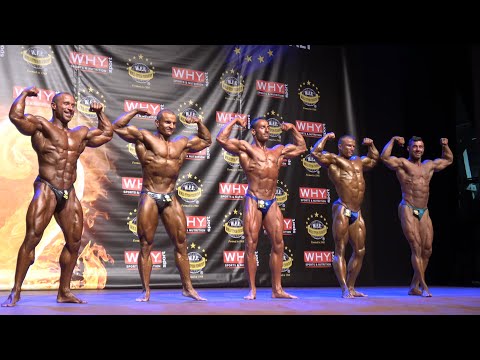 Men Professionals Comparisons - WFF European 2016