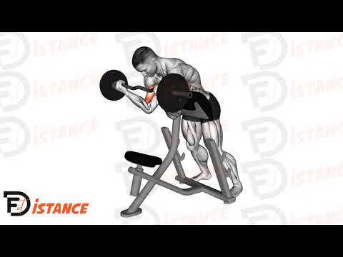 Curl au pupitre debout avec barre EZ - Exercice Curl au pupitre debout avec barre EZ en vidéo Curl au pupitre debout avec barre EZ - Exercice Curl au pupitre debout avec barre EZ en vidéo