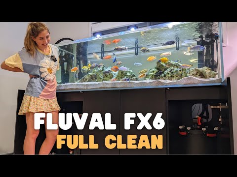 Fluval FX6 Cleaning After 3-months on my African Cichlid Tank
