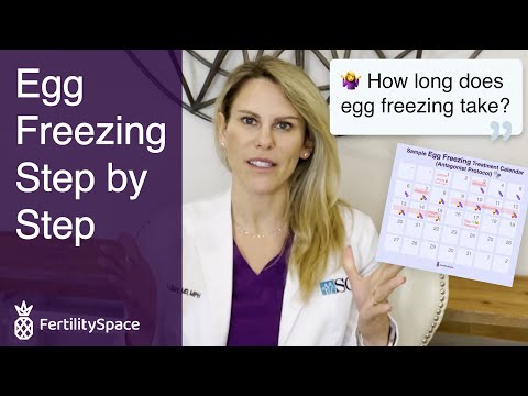 The Egg Freezing Process and Timeline From Start To Finish | Dr. Valerie Libby | FertilitySpace