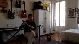 [COVID COVERS #15] Magnetic Fields - The Night You Can&#39;t Remember