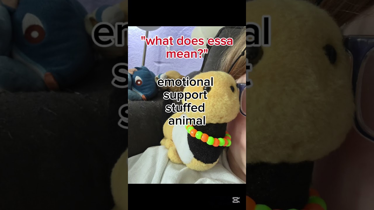 essa's are stuffed animals not service dogs #essa #essaplush #essacommunity #essadog