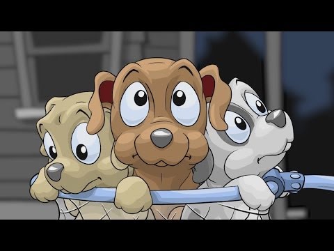 Save the Puppies Premium video