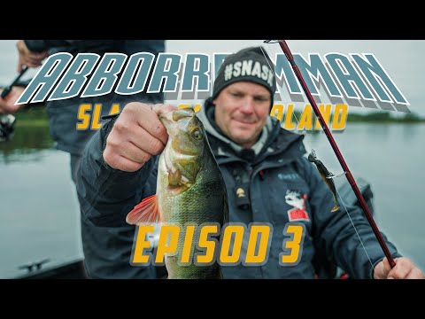 ABBORRFEMMAN 2023 EPISOD 3 (ENG SUBS) [4K]