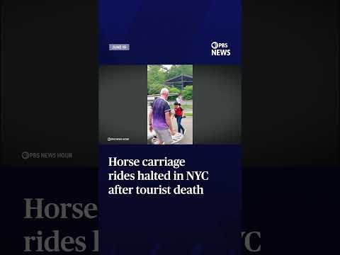 Horse carriage rides halted in NYC after tourist death