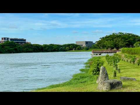 青埔稀有高質感空間釋出|書法公園第一排|露臺戶 整層住家 順儷V2 591租屋 月租45,000元/月