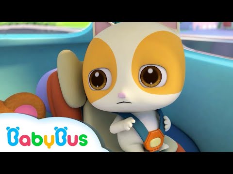 Timi și scăunelul de mașină 🚗 Cântece BabyBus pentru Copii de Grădiniță