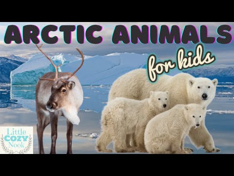 Arctic Animals For Kids- Educational READ ALOUD for Children