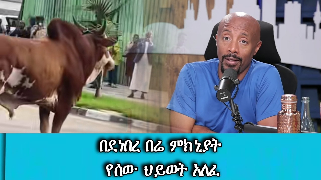በአሉ እንዴት አለፈ? በደነበረ በሬ ተወግቶ የአንድ ሰው ህይወት አልፏል....Tadias Addis
