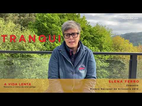 Vídeo: Ollar en breve. Testemuñas audiovisuais. Elena Ferro (2017)
