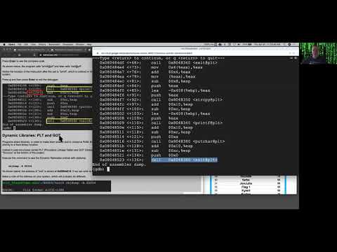 Exploit Development Part 5
