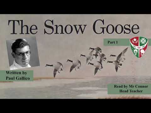 The Snow Goose by Paul Gallico | Read aloud by Mr Connor | Part 1