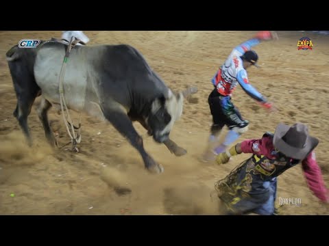 FINAL EM TOUROS - EMAPA de Avaré 2019