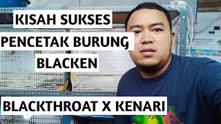 Download lagu KISAH SUKSES PENCETAK BURUNG BLACKEN / BLEKEN mp3