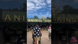 We went to Animal Kingdom the day blockout dates were lifted! #disney #disneyvlogger #disneylife