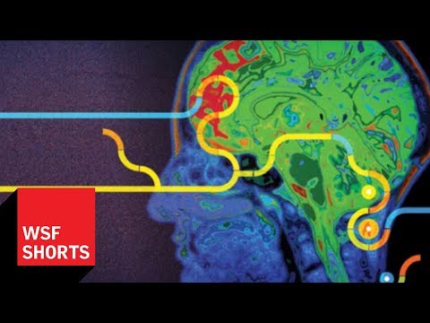 How Has Evolution Shaped Our Perception of Reality?