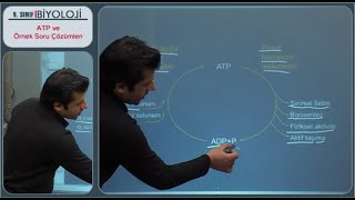 ATP ve Örnek Soru Çözümleri - Biyoloji Konu An