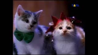 Fatboy Slim - The Joker