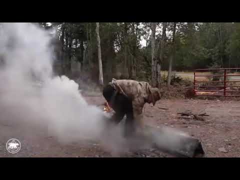 “Epic Log Cabin Build Timelapse | Solo DIY Cabin Construction in the Wilderness”