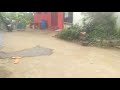 Balu Pattasu Balu