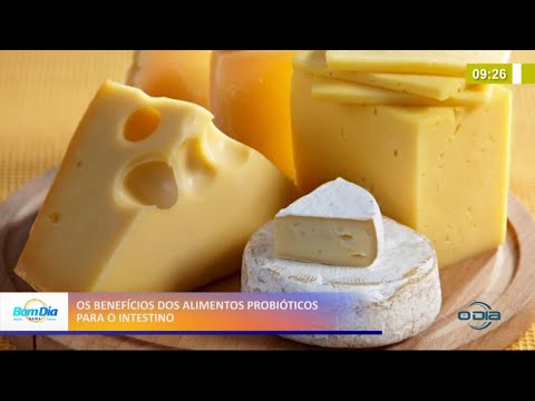 Benefícios de alimentos probióticos para o intestino 20 05 2021