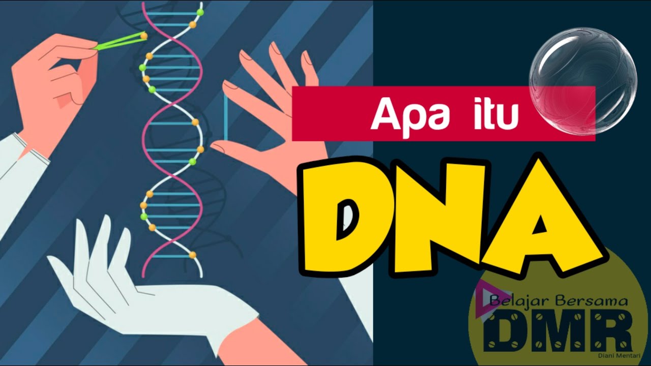 Apa itu DNA I Mengenal material genetik yang disebut DNA