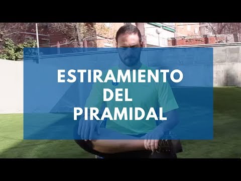 Estiramiento del Piramidal