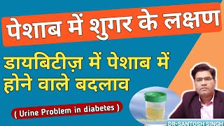 डायबिटीज़ में पेशाब में क्या संकेत आते है | What are Symptoms of Diabetes (sugar) in urine? - SYMPTOMS