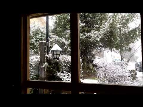 Snowing Cabin_ 20230314