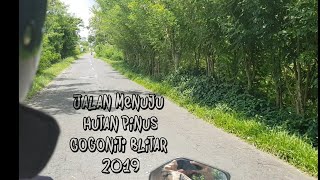preview picture of video 'Jalan Menuju Hutan Pinus Gogoniti Blitar 2019'