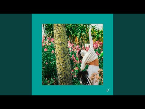 Falling From The Dream