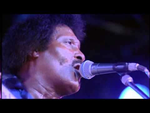 Albert Collins - 02 Honey, Hush! HD