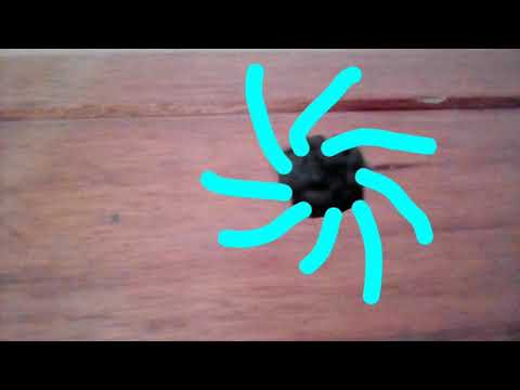 Gamera (kaiju claymation)