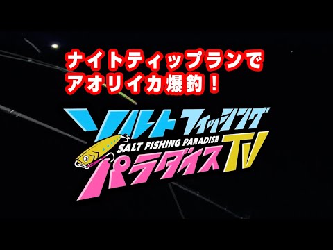 ナイトティップランでアオリイカ爆釣！（ソルパラTV・第54回2021年10月7日放送）