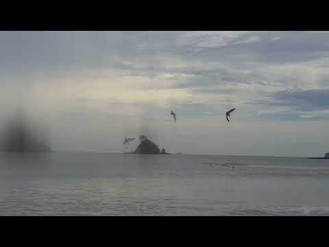 Kajian Shubuh #05 Kitab Riyadhus shalihin Bab Muroqabah (Pengawasan) Syarah Faishal Alu Mubarak.