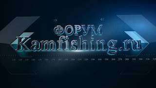 Рыбалка отчеты форумы