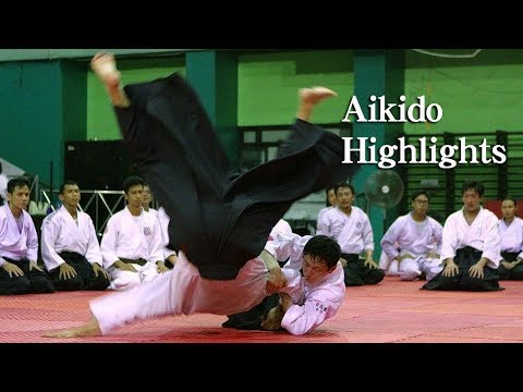 Supple and beautiful Aikido【Aikido Highlights】Shirakawa Ryuji